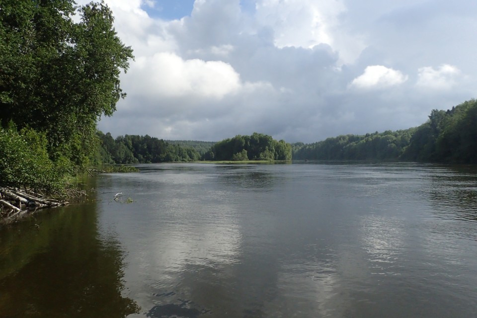 kymijoki keltti.JPG